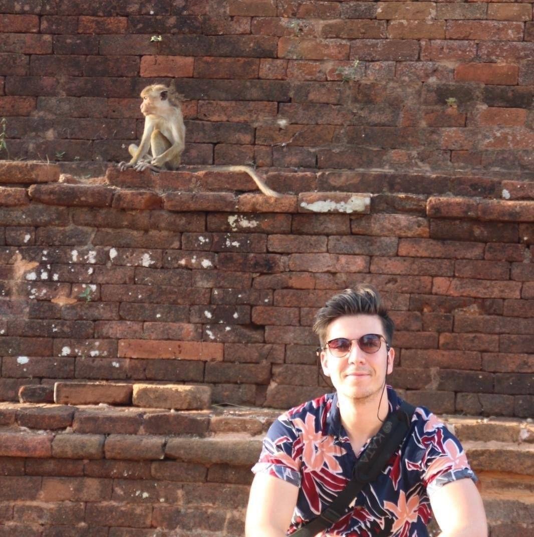 a picture of the elephant